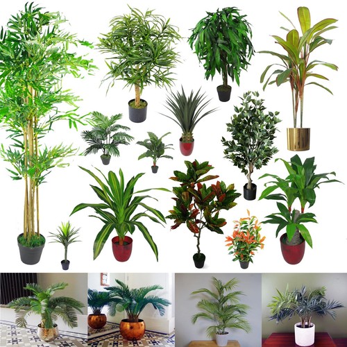 Künstlicher bambusbaum indoor - künstlicher,