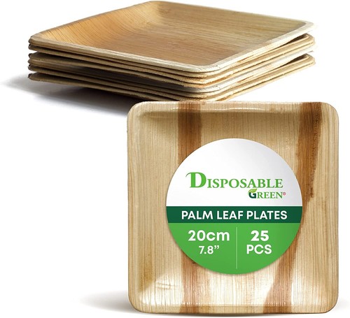 20cm areca quadrat - areca,