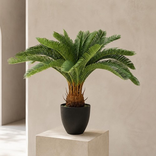 Künstliche tropische cycas - künstliche,