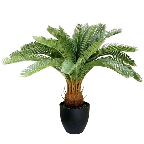 Künstliche tropische cycas - künstliche,