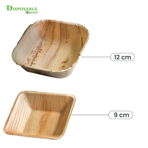 12cm areca quadratische - 9/12cm,