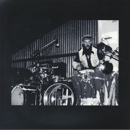 The palm leaves - palm,