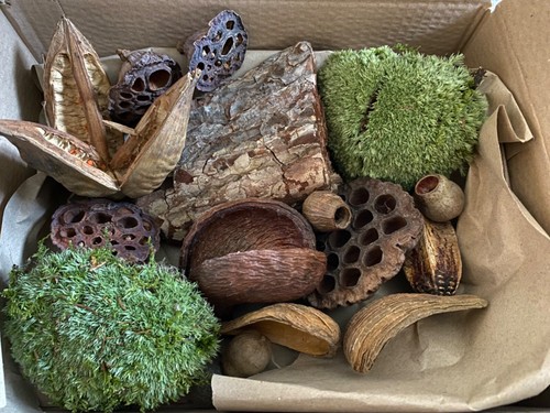 Terrarium vivarium insekten - vivarium,